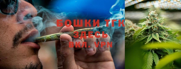 твердый Верея