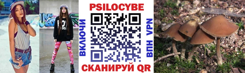 Галлюциногенные грибы Psilocybine cubensis  магазин  наркотиков  сайты даркнета клад  Павловский Посад  mega ONION 