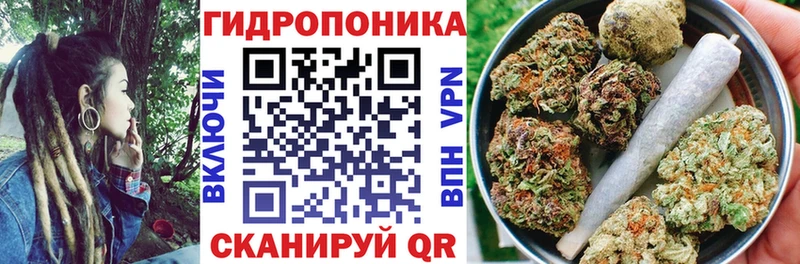Бошки марихуана индика  МЕГА как зайти  Павловский Посад  закладка 
